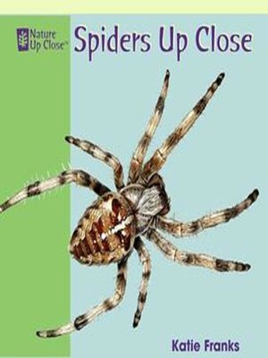 cover image of Spiders Up Close